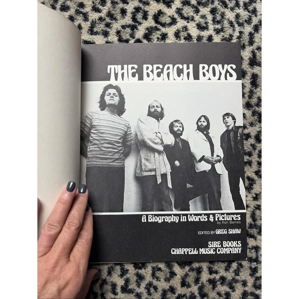 N/A beach boys